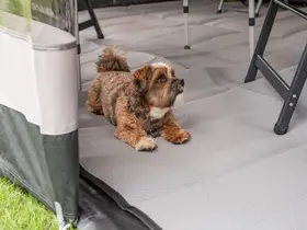 Telta Life 390 Floor